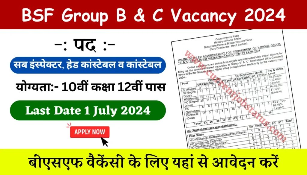 BSF Group B C Vacancy 2024