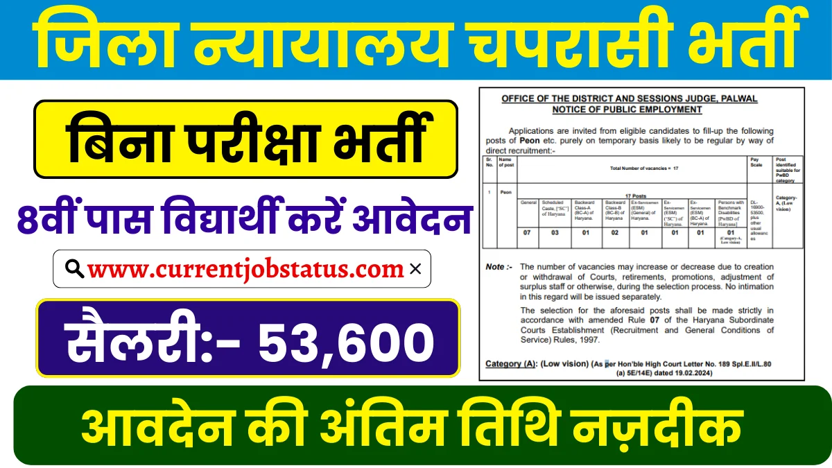 District Court Peon Vacancy 2024